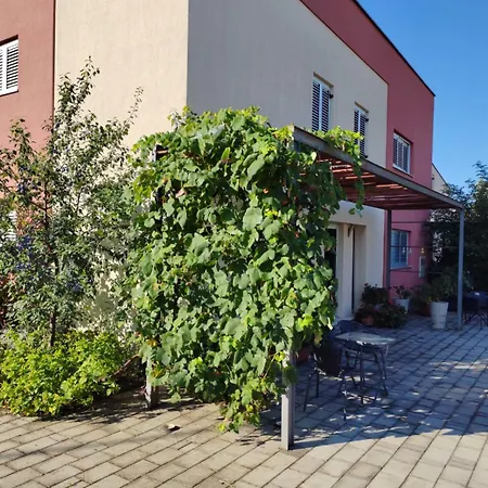 Apartment A-mol Zadar
